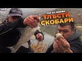 Как да хванем ТЛЪСТИ СКОБАРИ през зимата? / По р. Струма с болонеза