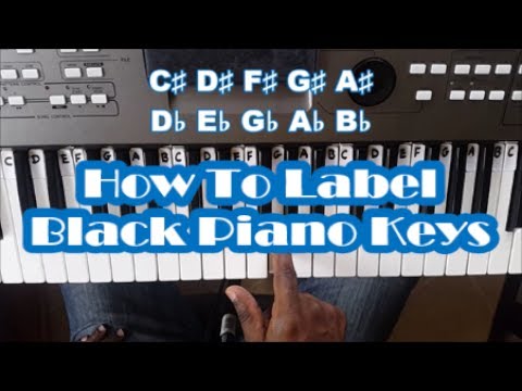 Piano Key Notes for Beginners Lesson 2 - Black Piano Keys ...