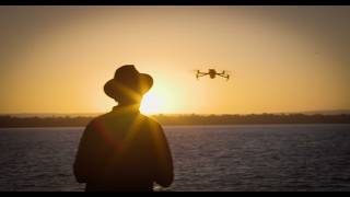 Download lagu FLIGHT OF THE SWAN - The SI (Self-Indulgent) version. :-)