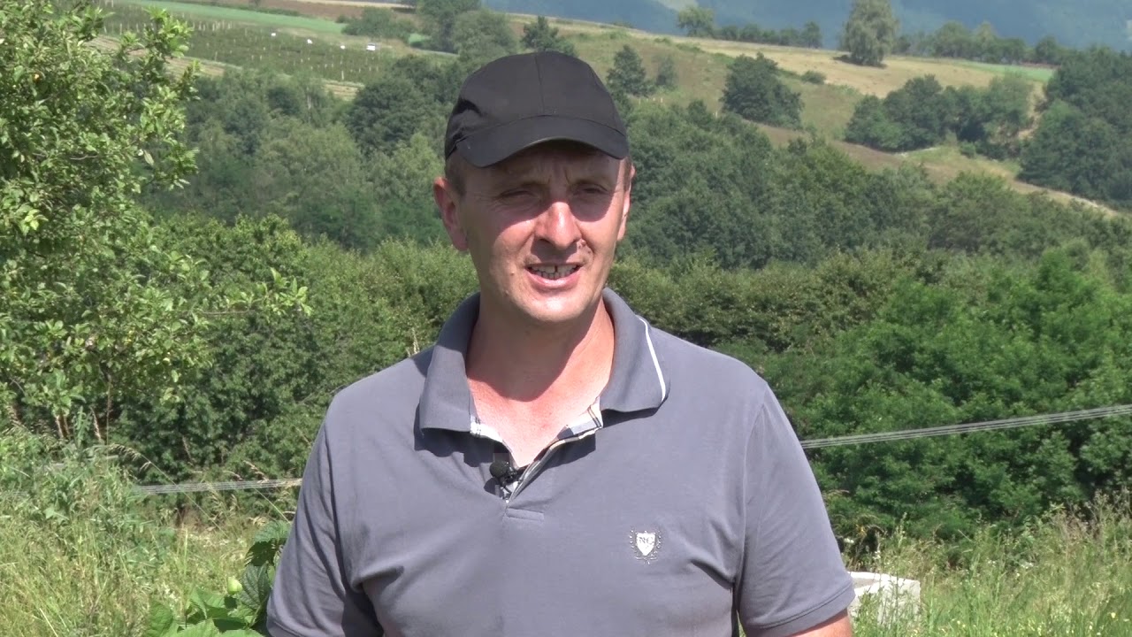 Voćka za sve - RIBIZLA