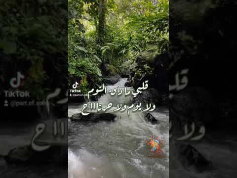 مقطع من اغنيه فضل شاكر يا حياة الروح مع الكلمات 