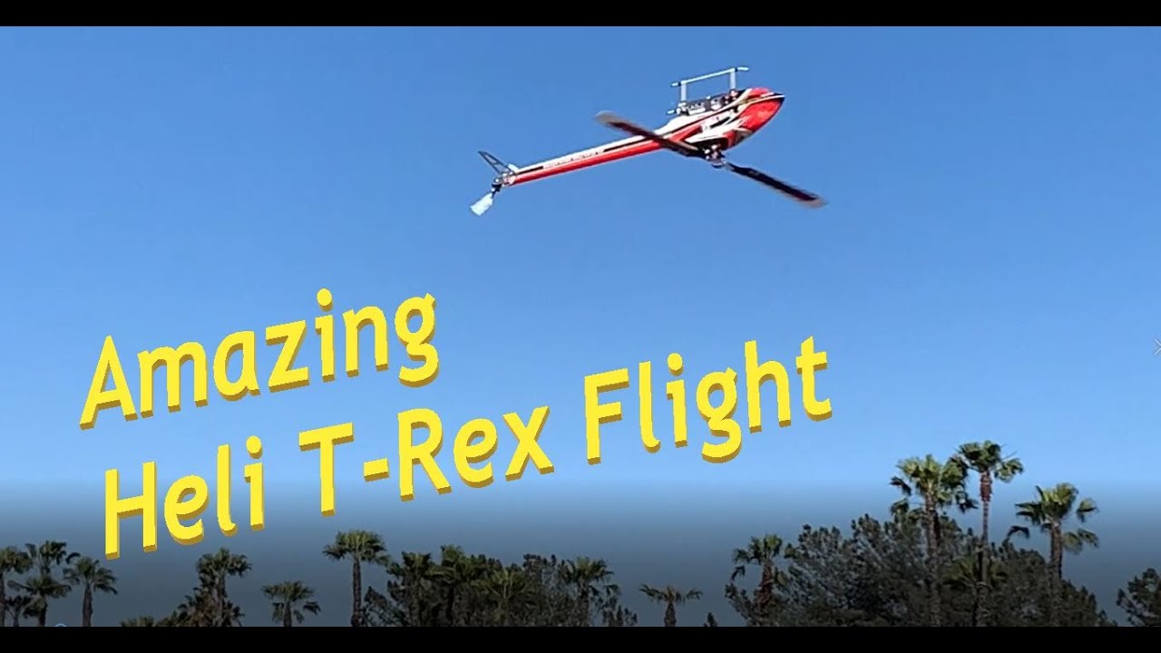 Amazing RC Heli TRex700E @8HrToGo