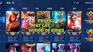 Profile Fat Cat 胖猫 Win Rate 91.9% Match 7911 Honor Of Kings Top Hero Menki Pro Player China Server