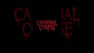 CANNIBAL CORPSE_HAMMER SMASHED FACE #cannibalcorpse #hammersmashedface #feedshorts