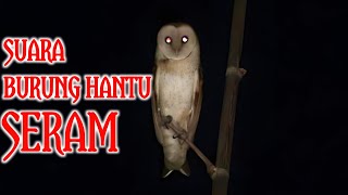 Merinding‼️Suara Burung Hantu Menyeramkan - Pengantar Tidur Anak kecil