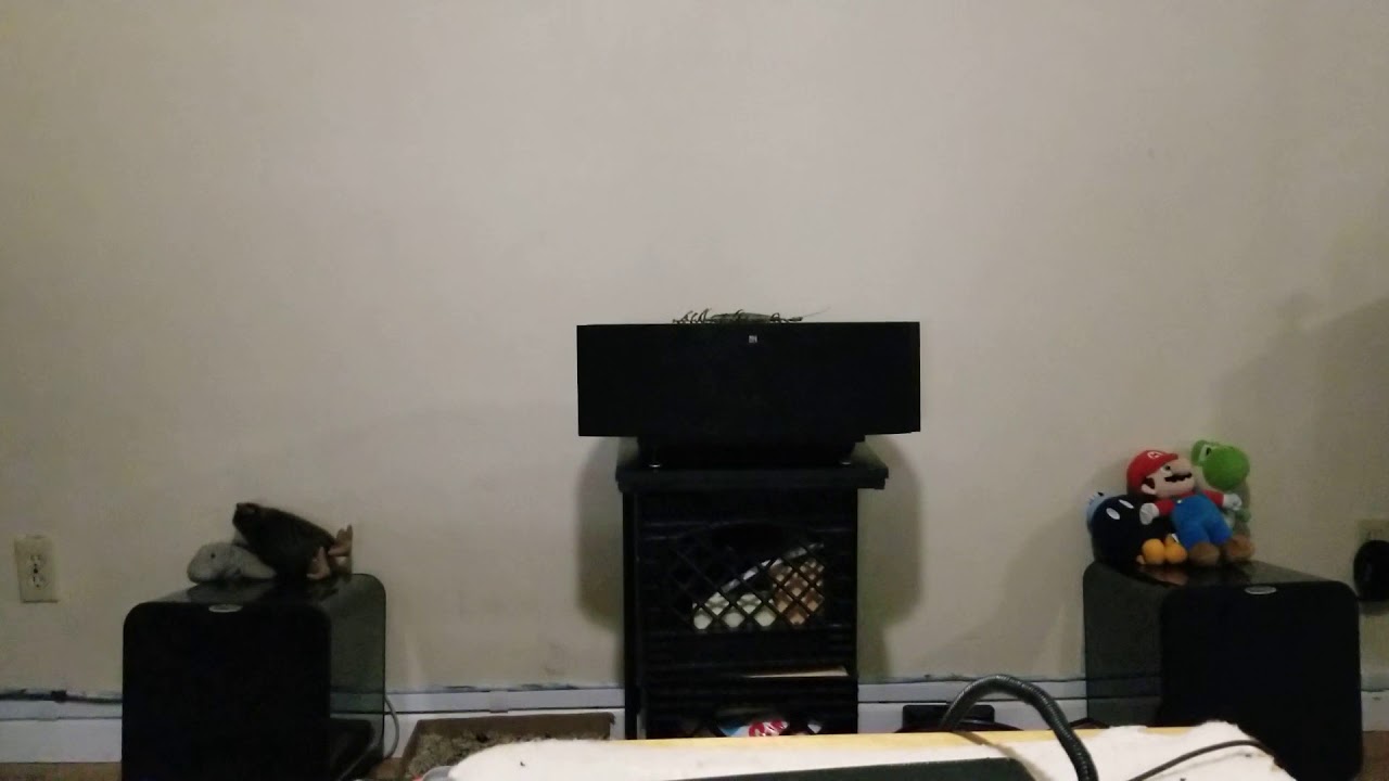 KEF IQ9 panning sound demo