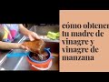 Como obtener tu MADRE DE VINAGRE y VINAGRE DE MANZANA