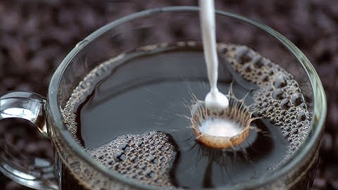 The Waterboys - Payo Payo Chin (Official Video)