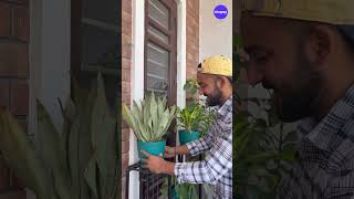 stand and pots under budget #shopsy #shopsyfinds