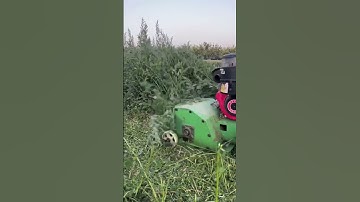 Máy băm cỏ chạy dầu 173f , lh xem máy 0963303534 #máynôngnghiệp #maycaytaynguyen  #mayxoidat