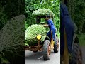 karele ki tractor are baap re #pyar #funny #marvel #shorts