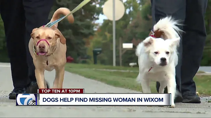 Heroic dogs, owner help find missing Wixom woman w...