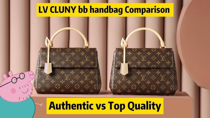 Hermes Kelly Alternative: Louis Vuitton Cluny BB Review and What Fits 