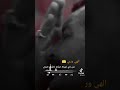الهي وربي من لي غيرك مناجاة ميثم التمار الهي وربي من لي غيرك مناجاة ميثم التمار