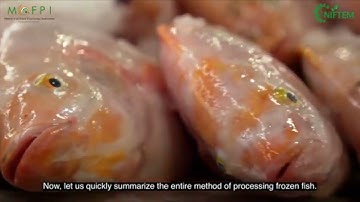 FROZEN FISH PROCESSING  (URDU) I NIFTEM PMFME SCHEME