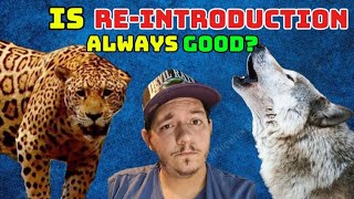 Should we re-introduce animals?