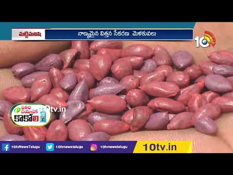 మేలైన విత్తన సేకరణకు జాగ్రత్తలు | Precautions for superior seed collection | Matti Manishi | 10TV