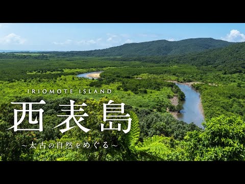 【在庫処分】西表島 ~太古の自然をめぐる~【4K Ultra HDブルーレイ】 Amazon.co.jp: 西表島 ~太古の自然をめぐる~【4K Ultra HD