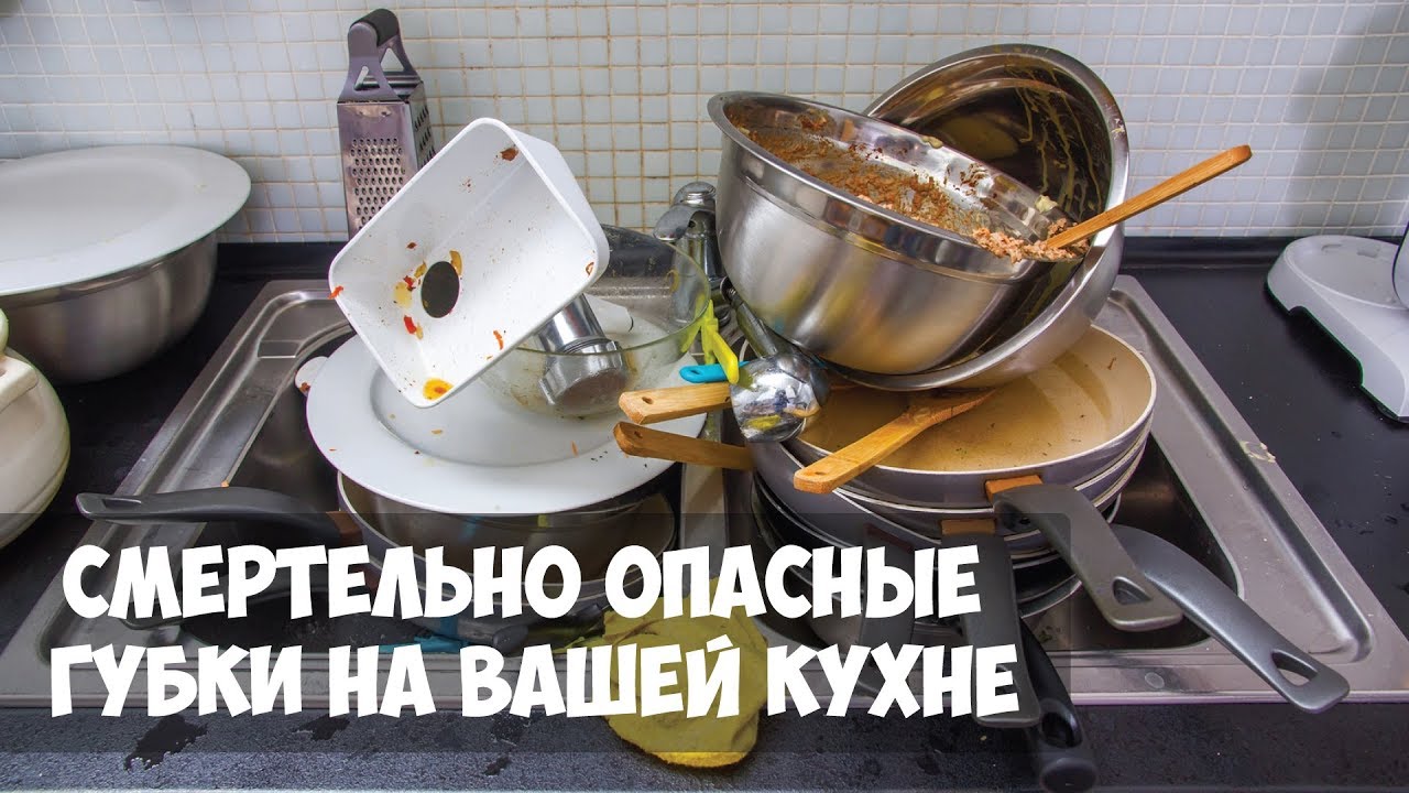 Смертельно опасные губки на кухне россиян