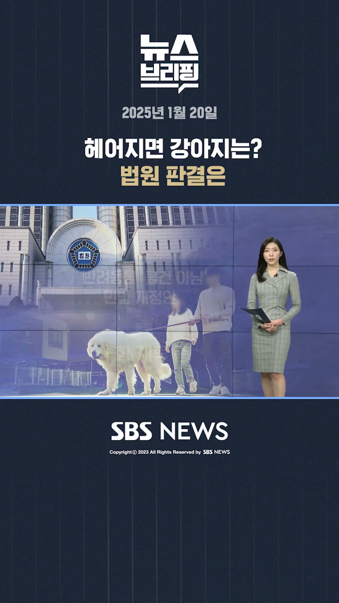 헤어지면 강아지는? 법원 판결은 #shorts