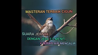 MASTERAN SUARA CIGUN JERNIH DENGAN JEDA 1-2 MENIT   TERAPI AIR #CIGUN