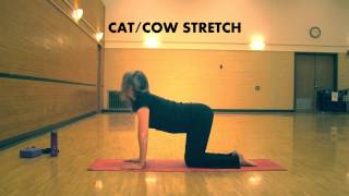 A demonstration of low impact "hatha" yoga