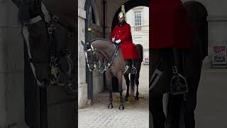 London Magic — A Stunning King’s Guard Horse ✨