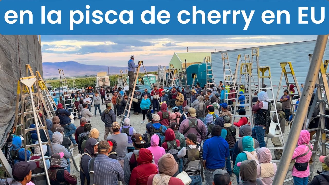 De distintos lugares llega la gente siguiendo este trabajo temporal porque Es donde se gana mas