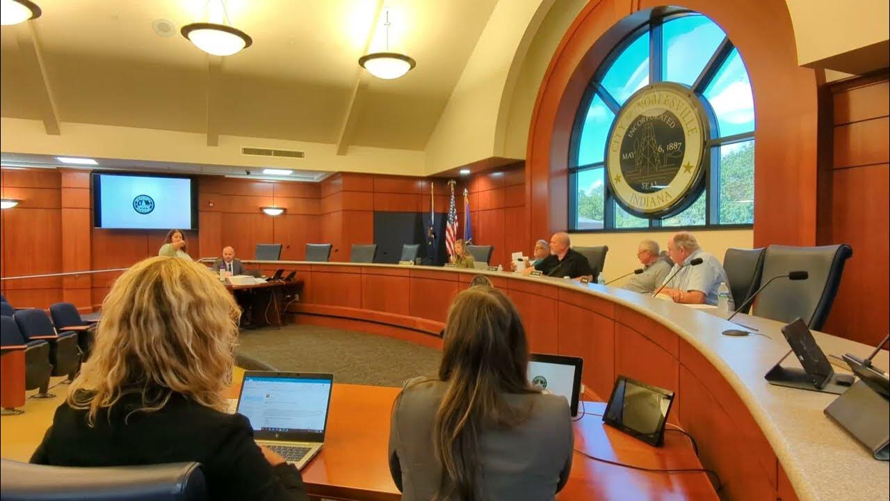 My Inner Baby Noblesville, Indiana Board of Zoning Appeals meeting