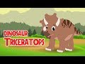 Dinosaurs - Triceratops - Dinosaurs Facts - Fun Educational Learning Video For Children