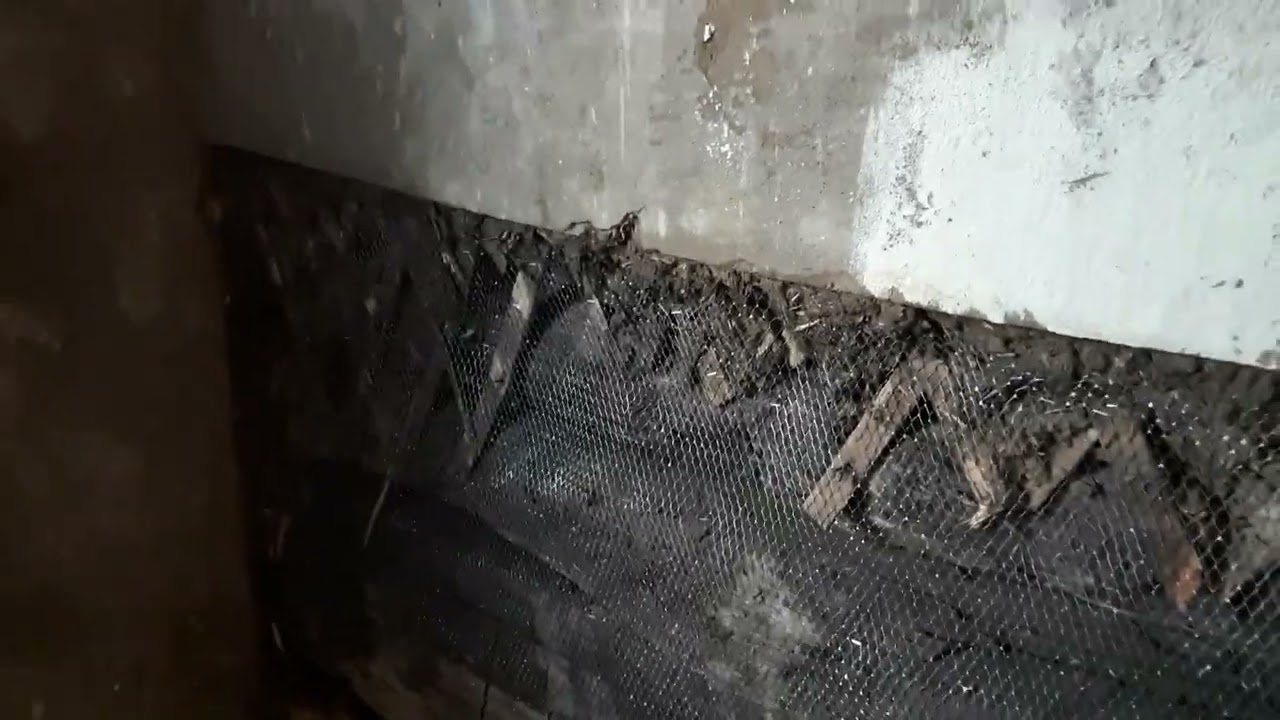 Сетка от мышей.Работа кипит. - YouTube