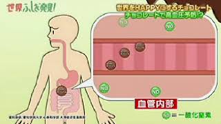 高カカオの効果　（植物油脂は含まないチョコ）