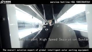 Gem color sorter from Wesort,color sorter,gem color sorter