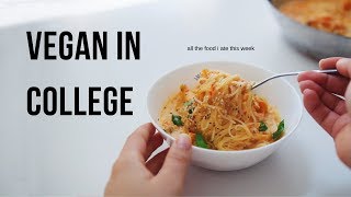 What I Ate this Week! (vegan university student)