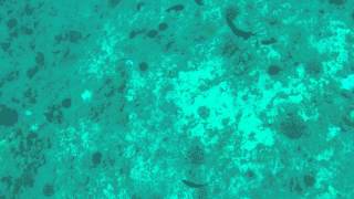 GOPR2246