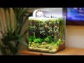 BEAUTIFUL LOW-TECH NANO AQUASCAPE (NON-CO2)