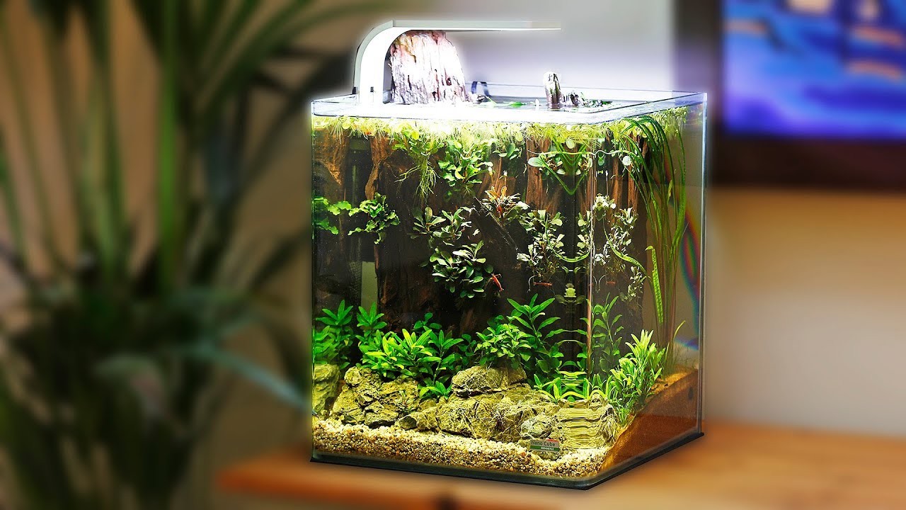 BEAUTIFUL LOW-TECH NANO AQUASCAPE (NON-CO2) - YouTube