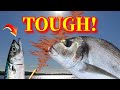 Greece Sea Fishing During an Earthquake Get In!