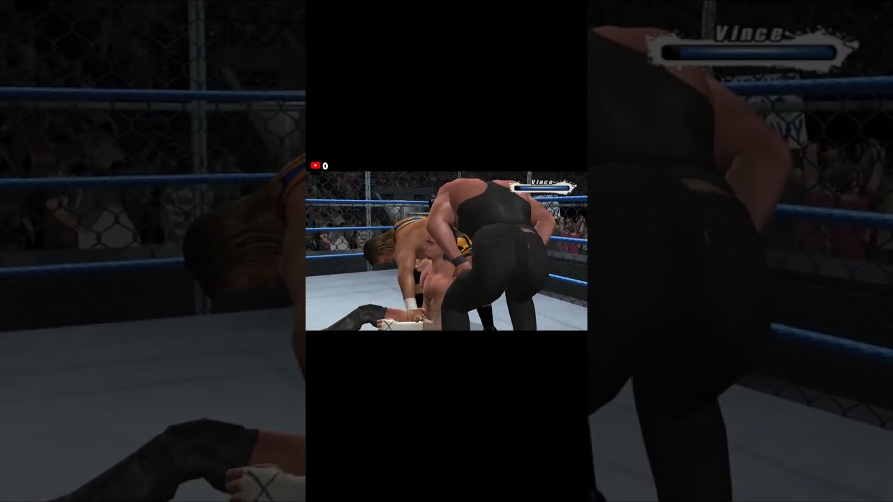 WWE Smackdown vs. Raw 2009 Exhibition Matches, Career Mode, Tournament Modes (Portrait)