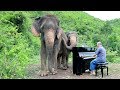 Mayumi Kato “Language of Flowers” for Elephants - Lidia Baich, violin, Paul Barton, piano