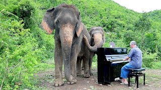 Mayumi Kato “Language of Flowers” for Elephants  Lidia Baich, violin, Paul Barton, piano