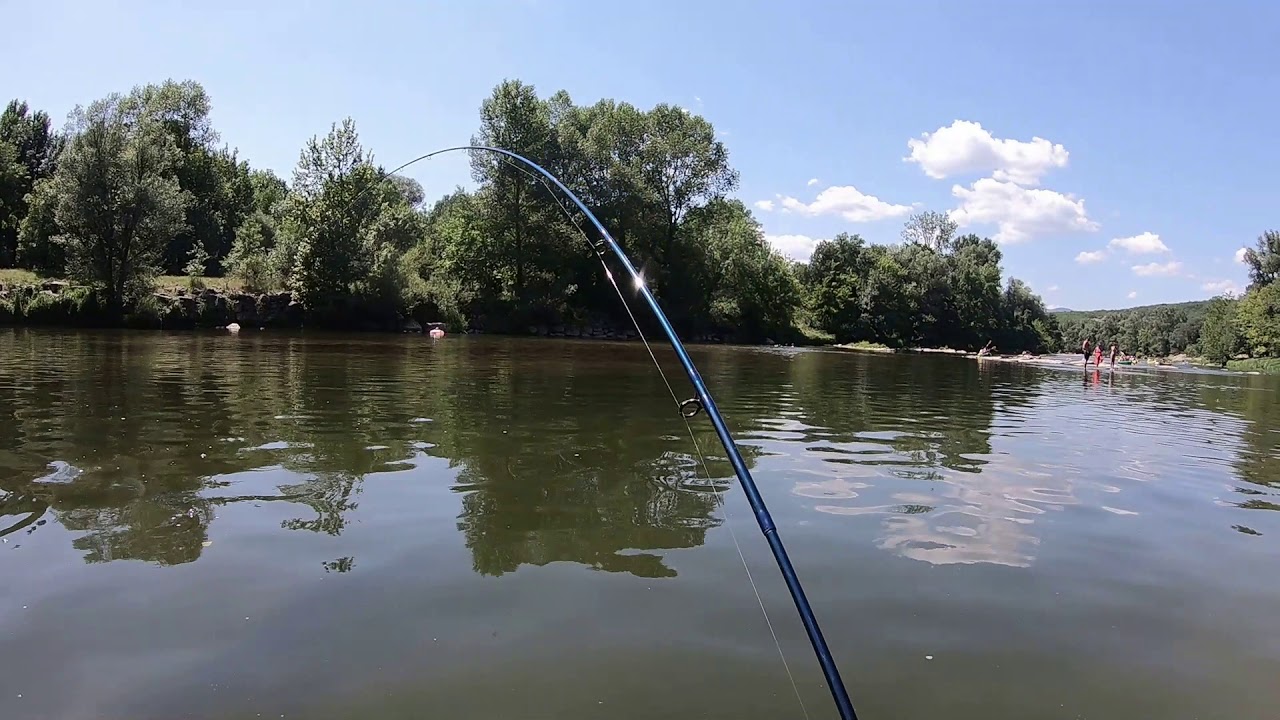 Défi Pêche - Pêcher une CARPE avec une CANNE à MOUCHE  