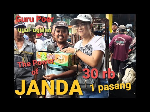 JANDA selalu ter DEPAN..challenge ugal ugalan 30 rb dapat 1 pasang...