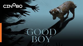 Good Boy Teaser Trailer | GR Subs | Cinobo