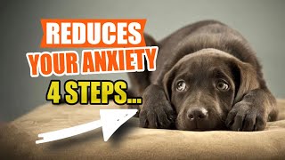 4 Ways to REDUCE ANXIETY in Your New Puppy🐶 by Veterinary Network 45 views 1 month ago 4 minutes, 48 seconds