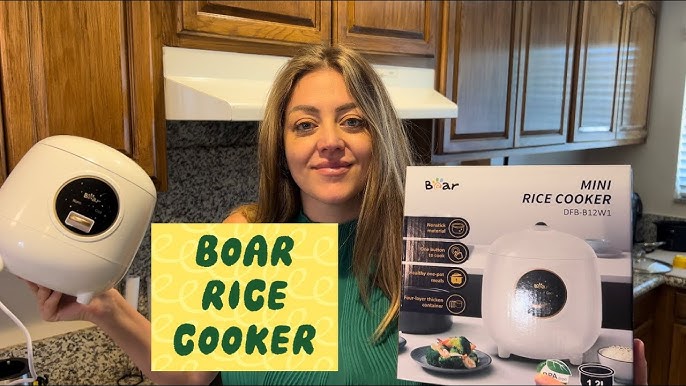 Bear Mini Rice Cooker Review 