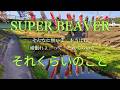 ありふれた風景と音楽と...SUPERBEAVERの「それくらいのこと」にのせて風景を切り取ってみました。#superbeaver #それくらいのこと #渋谷龍太
