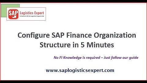 Master SAP Finance Org Structure in Just 5 Minutes! | Quick & Easy SAP S4 HANA Guide