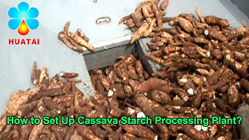 20TPD Cassava Starch Processing Plant in Indonesia - Cassava Starch Production Line Running Video