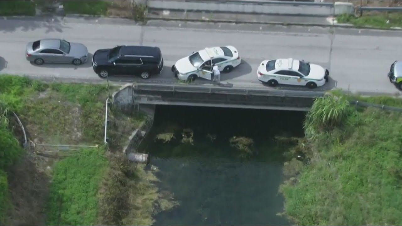 Driver pulled from water after car plunges into canal near Redland ...